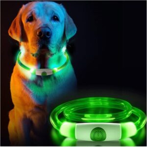 LED collar