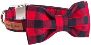 lionet paws bowtie collar