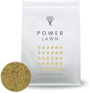 power lawn grass seed